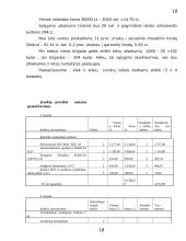 Verslo planas: santechnikos paslaugos UAB "Sanveda" 18 puslapis