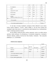 Verslo planas: santechnikos paslaugos UAB "Sanveda" 19 puslapis