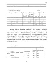 Verslo planas: santechnikos paslaugos UAB "Sanveda" 20 puslapis