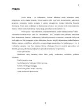 Verslo planas: santechnikos paslaugos UAB "Sanveda" 3 puslapis