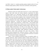 Verslo planas: santechnikos paslaugos UAB "Sanveda" 6 puslapis