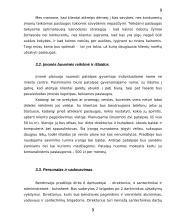 Verslo planas: santechnikos paslaugos UAB "Sanveda" 9 puslapis