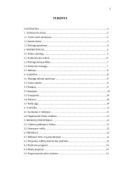 Verslo planas: savitarnos skalbykla PĮ "Skalbk pats!" 2 puslapis