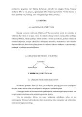 Verslo planas: savitarnos skalbykla PĮ "Skalbk pats!" 11 puslapis