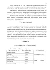 Verslo planas: savitarnos skalbykla PĮ "Skalbk pats!" 12 puslapis