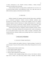 Verslo planas: savitarnos skalbykla PĮ "Skalbk pats!" 8 puslapis