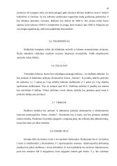 Verslo planas: savitarnos skalbykla PĮ "Skalbk pats!" 10 puslapis