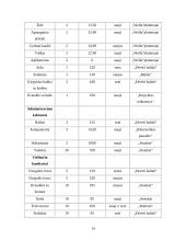 Verslo planas: sveikatingumo kompleksas IĮ "Atnaja" 13 puslapis