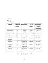 Verslo planas: sveikatingumo kompleksas IĮ "Atnaja" 16 puslapis