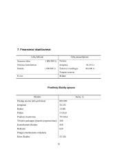 Verslo planas: sveikatingumo kompleksas IĮ "Atnaja" 18 puslapis