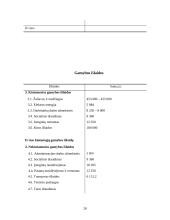 Verslo planas: sveikatingumo kompleksas IĮ "Atnaja" 19 puslapis