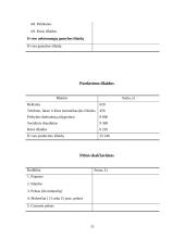 Verslo planas: sveikatingumo kompleksas IĮ "Atnaja" 20 puslapis