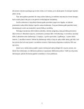 Verslo planas: sveikatingumo kompleksas IĮ "Atnaja" 4 puslapis