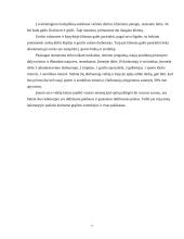 Verslo planas: sveikatingumo kompleksas IĮ "Atnaja" 6 puslapis