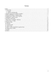 Verslo planas: taksi paslaugos UAB "Goneda" 2 puslapis