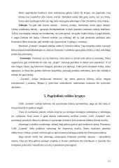 Verslo planas: taksi paslaugos UAB "Goneda" 11 puslapis