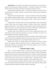 Verslo planas: taksi paslaugos UAB "Goneda" 14 puslapis