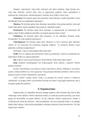 Verslo planas: taksi paslaugos UAB "Goneda" 16 puslapis