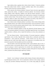 Verslo planas: taksi paslaugos UAB "Goneda" 17 puslapis