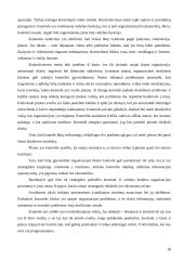 Verslo planas: taksi paslaugos UAB "Goneda" 18 puslapis