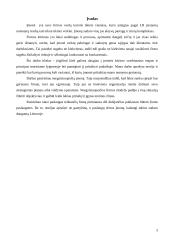 Verslo planas: taksi paslaugos UAB "Goneda" 3 puslapis