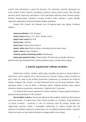 Verslo planas: taksi paslaugos UAB "Goneda" 5 puslapis