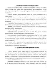 Verslo planas: taksi paslaugos UAB "Goneda" 7 puslapis