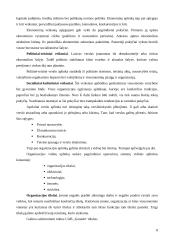 Verslo planas: taksi paslaugos UAB "Goneda" 8 puslapis