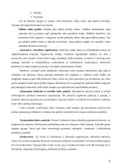 Verslo planas: taksi paslaugos UAB "Goneda" 10 puslapis