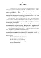 Verslo planas: tatuiruočių darymas IĮ "Tavo tattoo" 2 puslapis