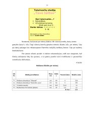 Verslo planas: tatuiruočių darymas IĮ "Tavo tattoo" 11 puslapis