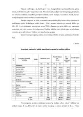 Verslo planas: tatuiruočių darymas IĮ "Tavo tattoo" 13 puslapis