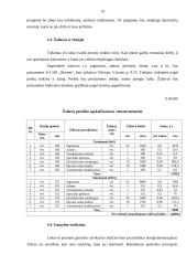 Verslo planas: tatuiruočių darymas IĮ "Tavo tattoo" 14 puslapis