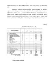 Verslo planas: tatuiruočių darymas IĮ "Tavo tattoo" 15 puslapis