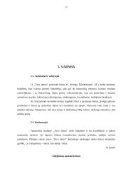 Verslo planas: tatuiruočių darymas IĮ "Tavo tattoo" 17 puslapis