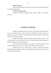 Verslo planas: tatuiruočių darymas IĮ "Tavo tattoo" 19 puslapis