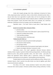 Verslo planas: tatuiruočių darymas IĮ "Tavo tattoo" 4 puslapis