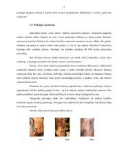 Verslo planas: tatuiruočių darymas IĮ "Tavo tattoo" 5 puslapis
