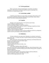 Verslo plano paskirtis, sandara, rengimas ir sudarymas 4 puslapis