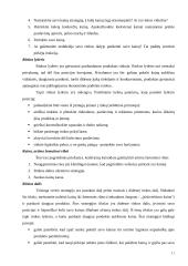 Verslo pradžios vadovas ir teorija 10 puslapis