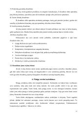 Verslo pradžios vadovas ir teorija 13 puslapis