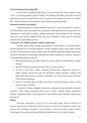 Verslo pradžios vadovas ir teorija 16 puslapis