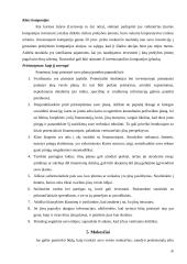 Verslo pradžios vadovas ir teorija 19 puslapis