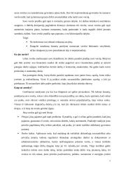 Verslo pradžios vadovas ir teorija 4 puslapis