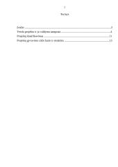 Verslo projektų samprata, paskirtis, rūšis ir gyvavimo ciklai 2 puslapis