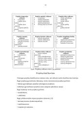 Verslo projektų samprata, paskirtis, rūšis ir gyvavimo ciklai 12 puslapis