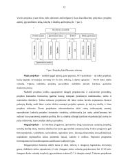 Verslo projektų samprata, paskirtis, rūšis ir gyvavimo ciklai 13 puslapis