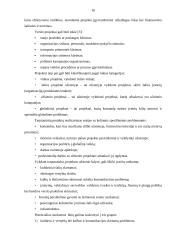 Verslo projektų samprata, paskirtis, rūšis ir gyvavimo ciklai 16 puslapis