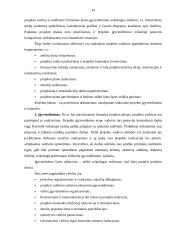 Verslo projektų samprata, paskirtis, rūšis ir gyvavimo ciklai 19 puslapis