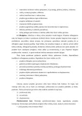 Verslo projektų samprata, paskirtis, rūšis ir gyvavimo ciklai 20 puslapis